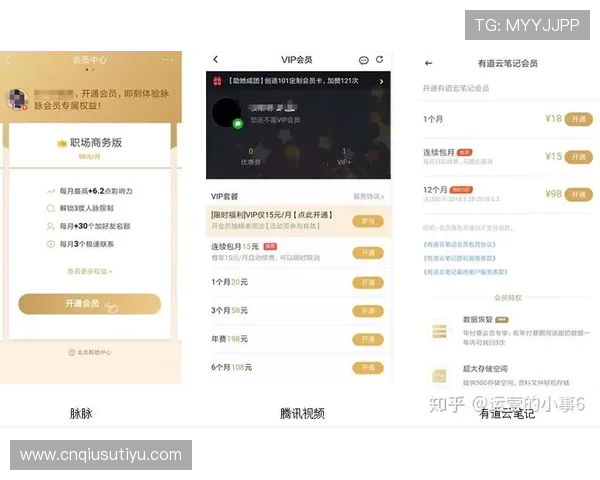开云娱乐官网VIP会员权益全面解析提升您的专属尊享体验